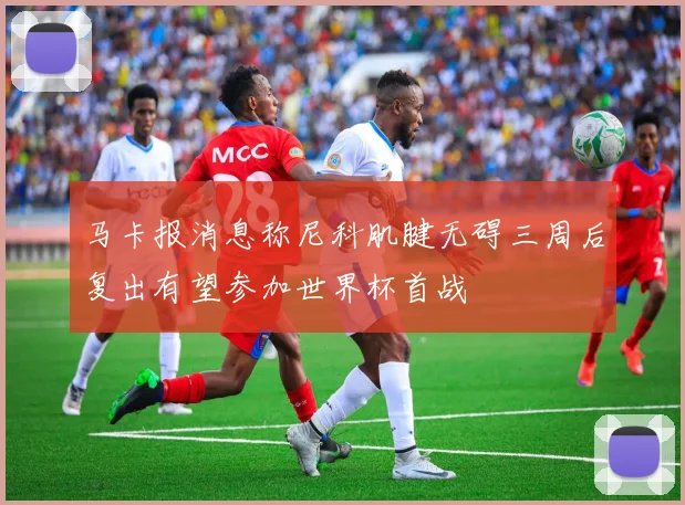 马卡报消息称尼科肌腱无碍三周后复出有望参加世界杯首战