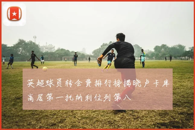 英超球员转会费排行榜揭晓卢卡库高居第一托纳利位列第八