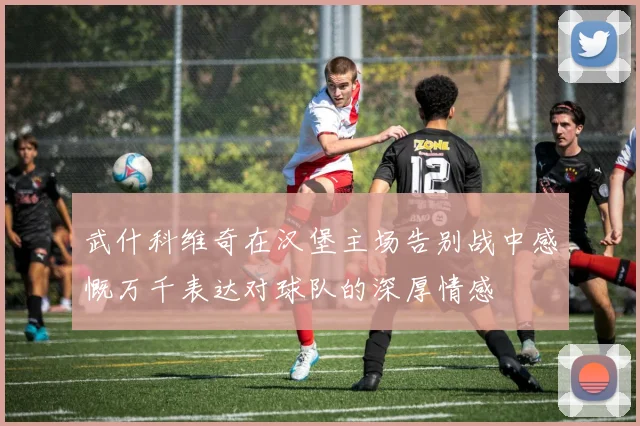 武什科维奇在汉堡主场告别战中感慨万千表达对球队的深厚情感